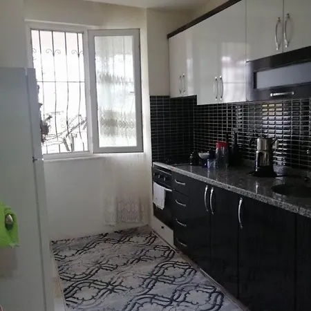 Tuter Holmes Apartment *